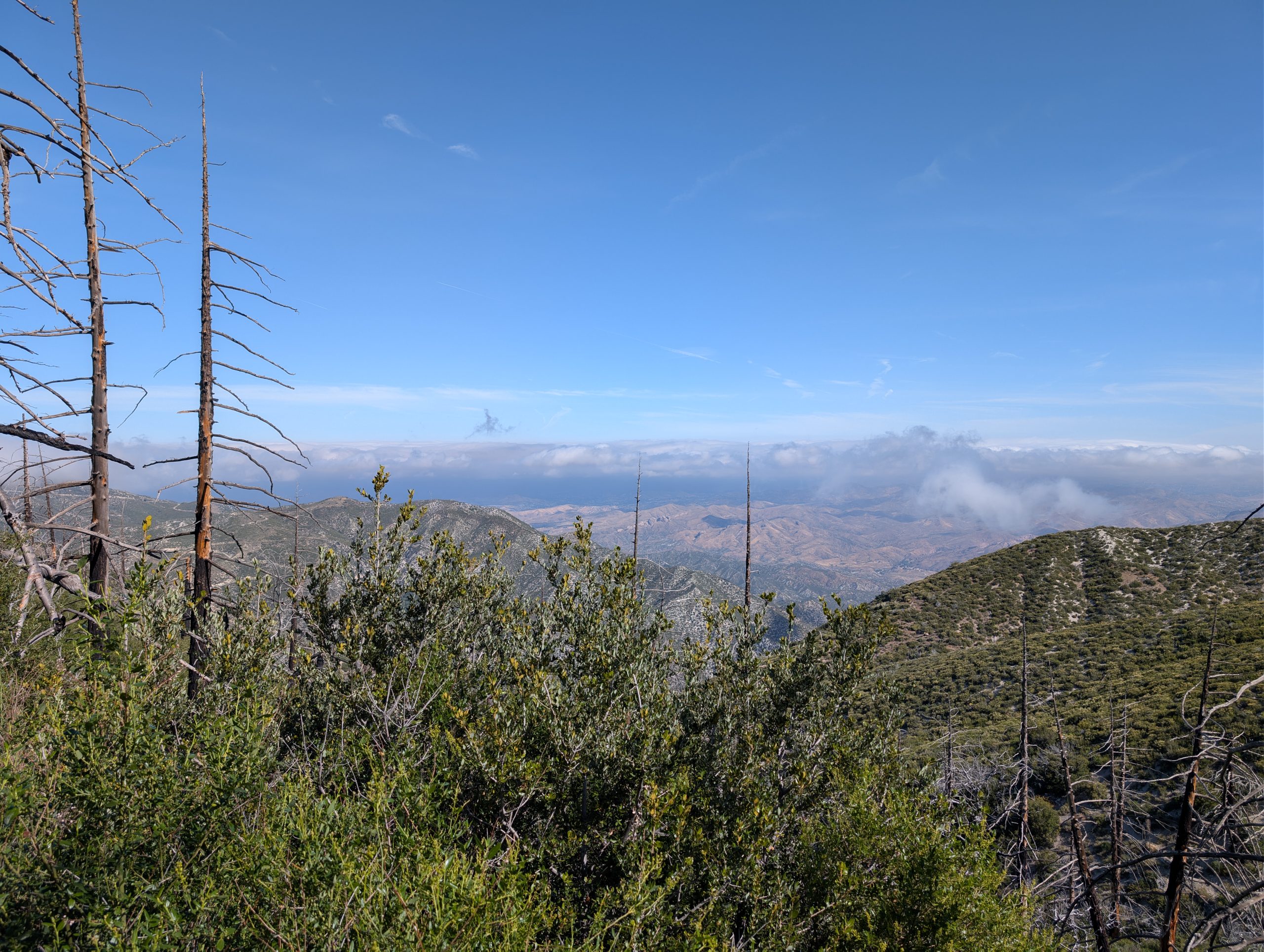 PCT – Day 38