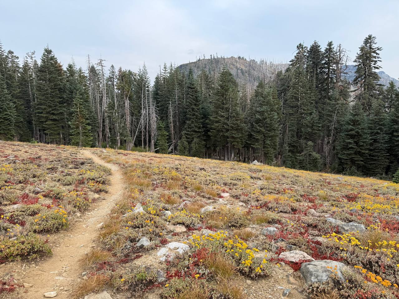 PCT – Day 121