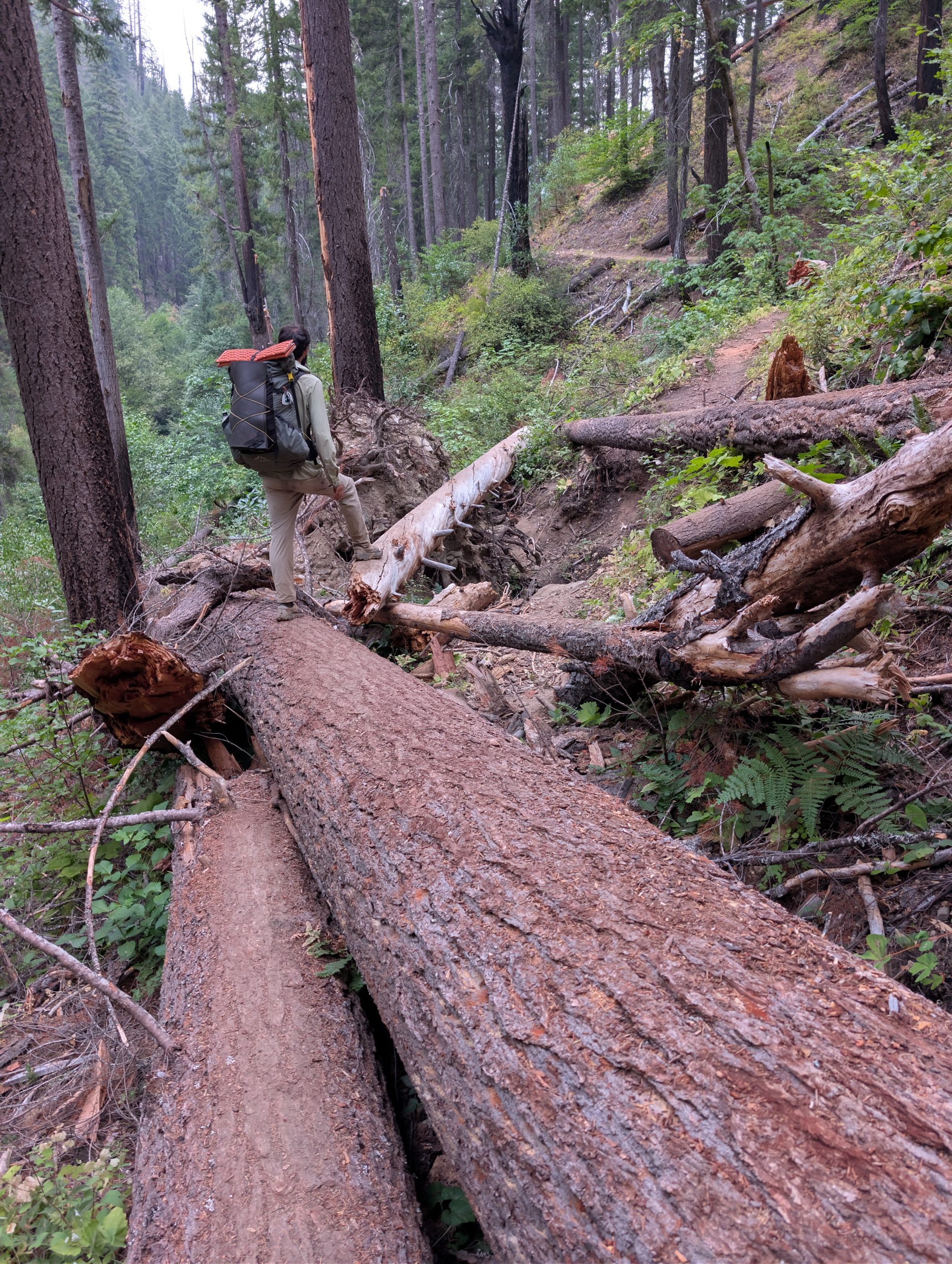PCT – Day 123