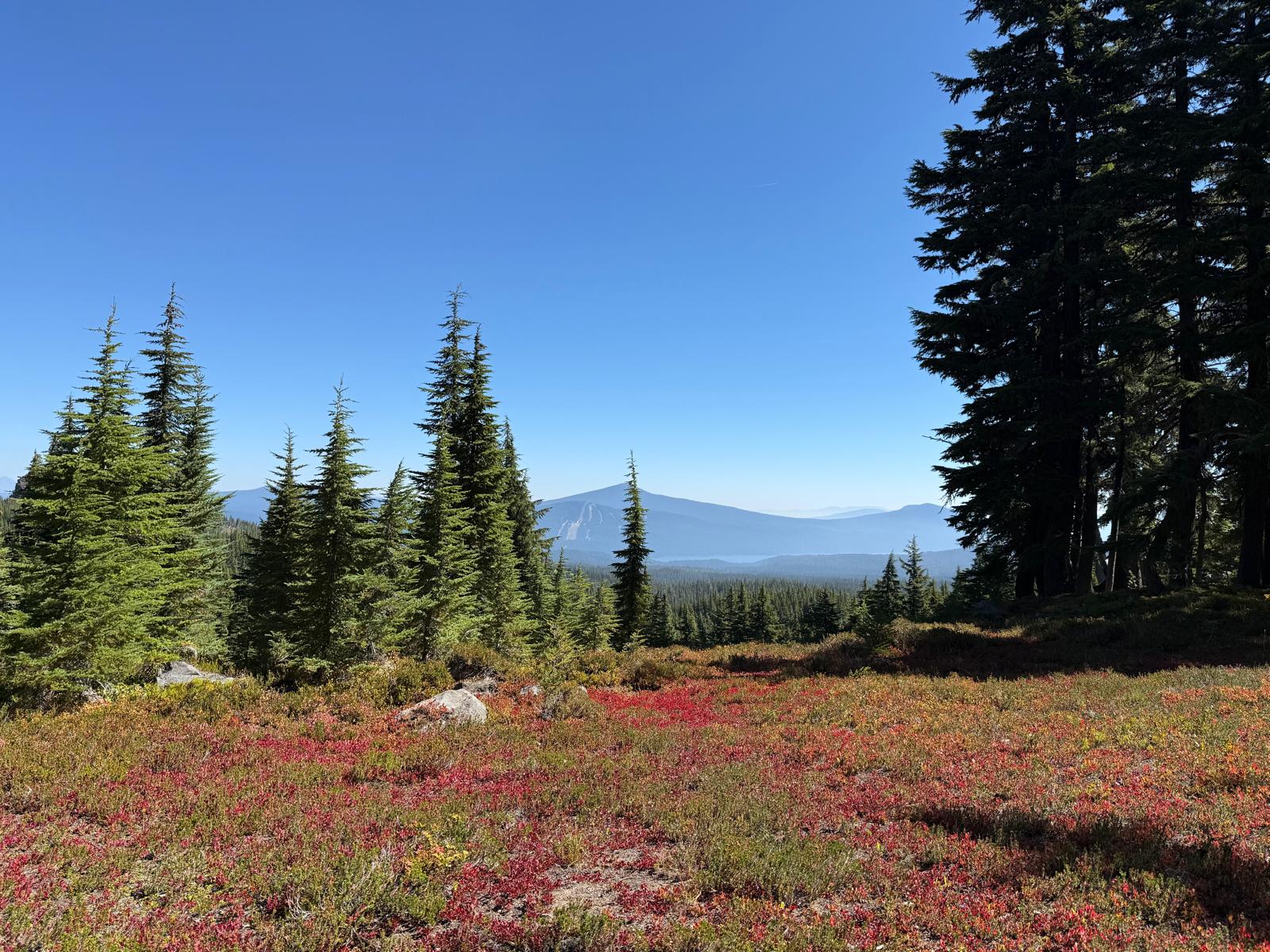 PCT – Day 137