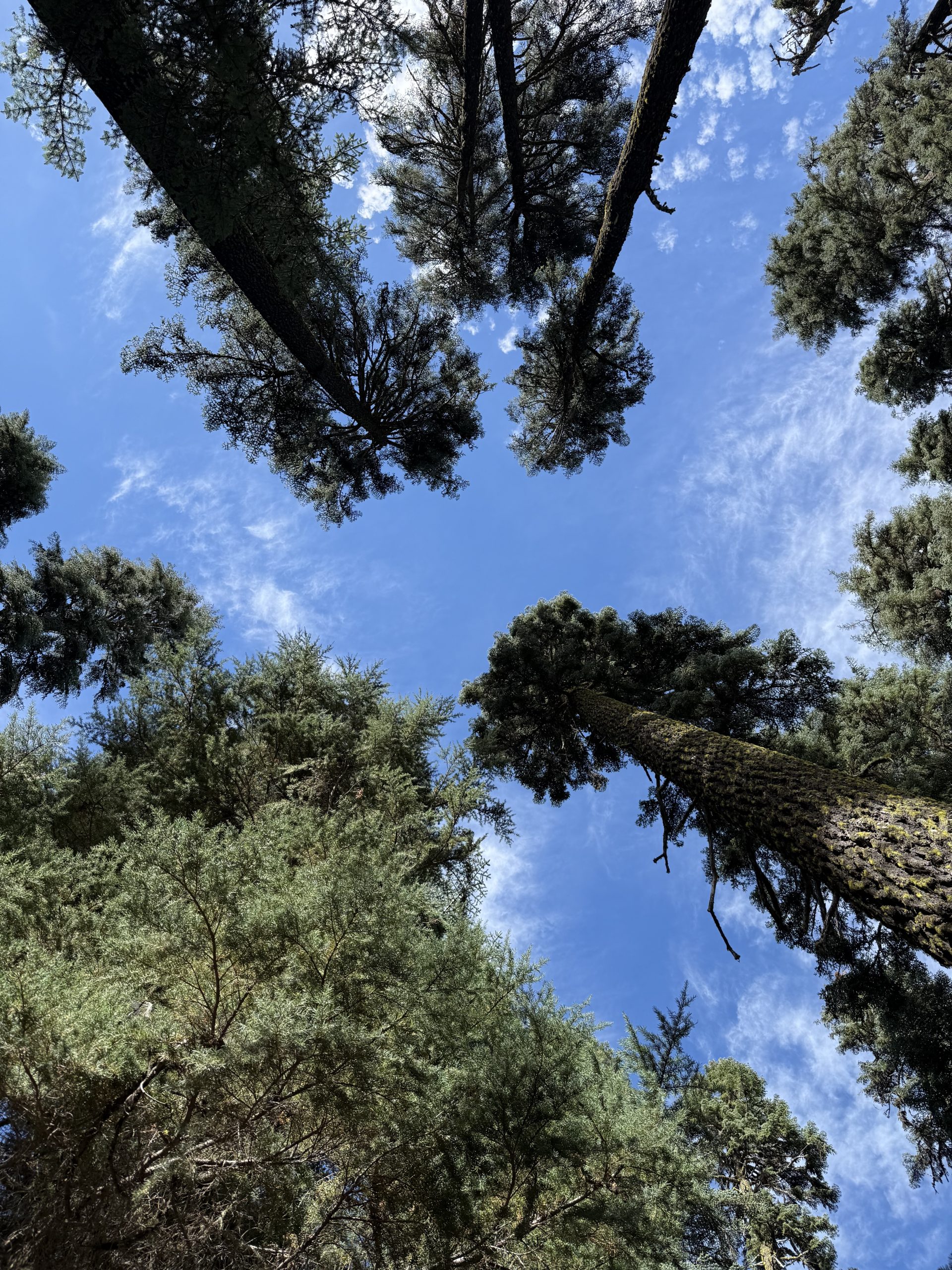 PCT – Day 131