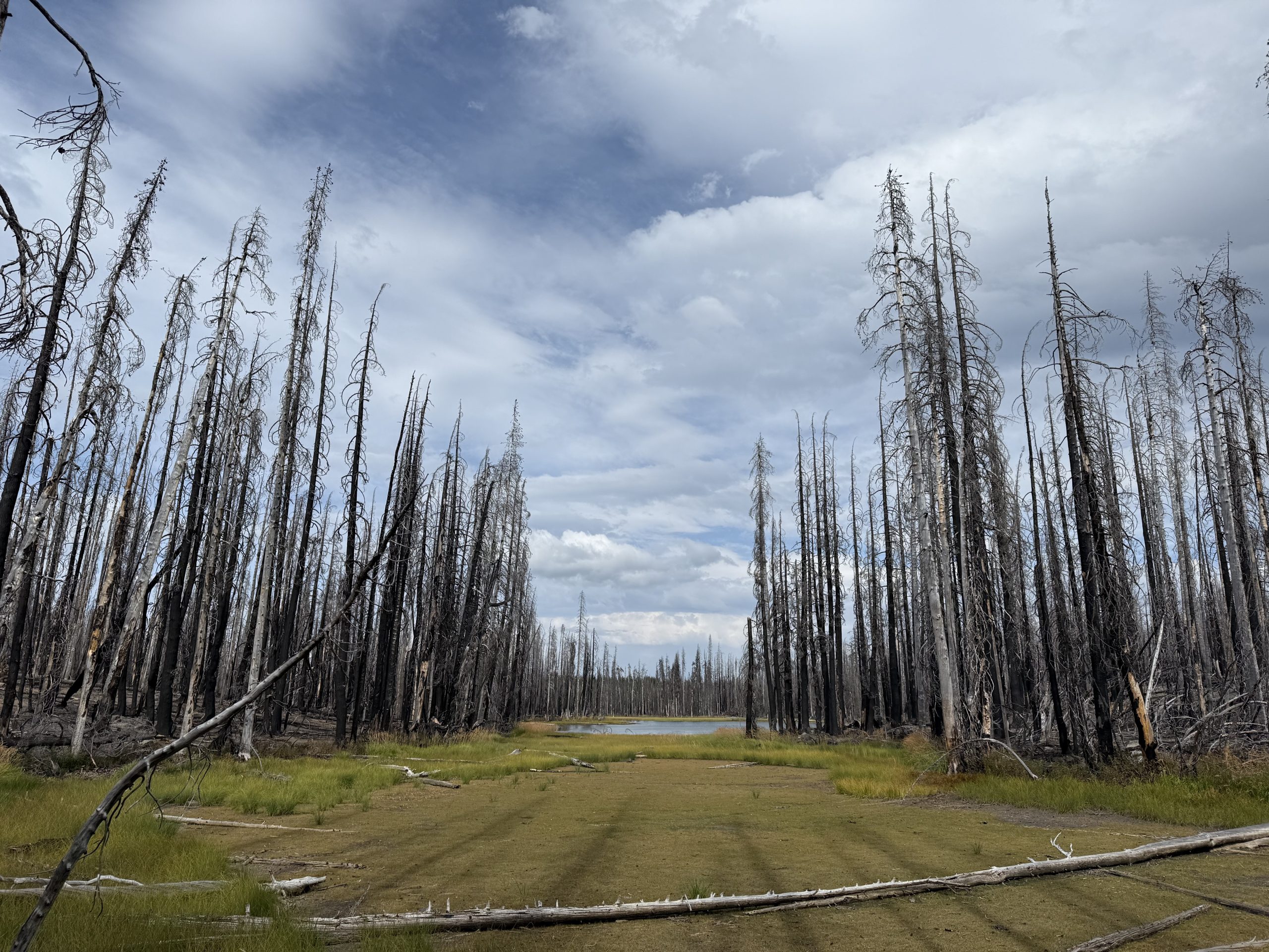 PCT – Day 138