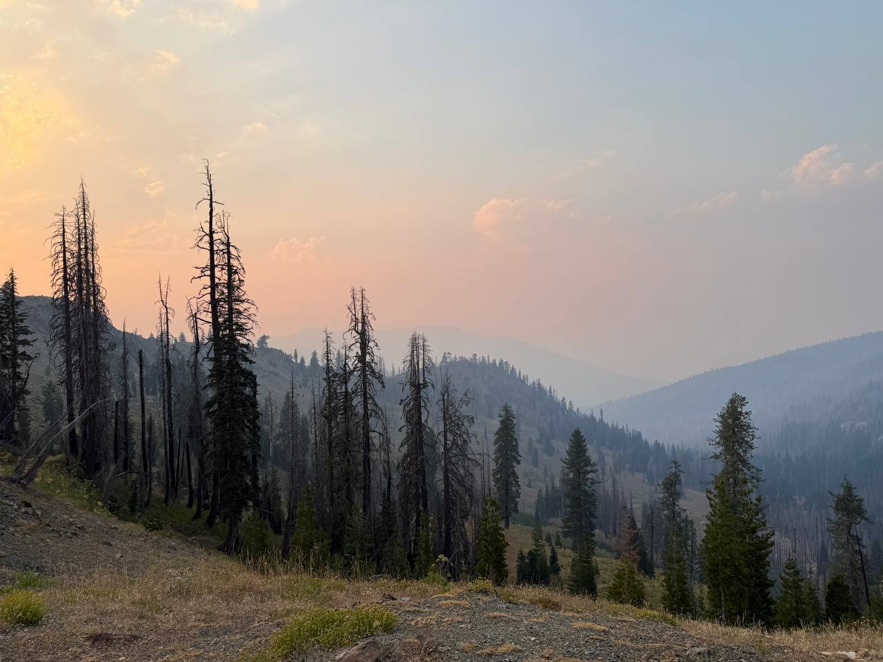 PCT – Day 118