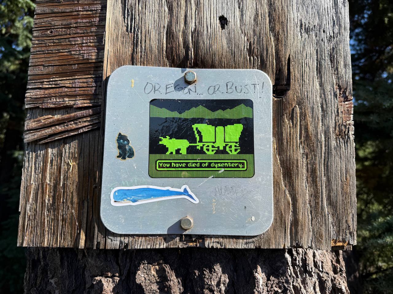 PCT – Day 125