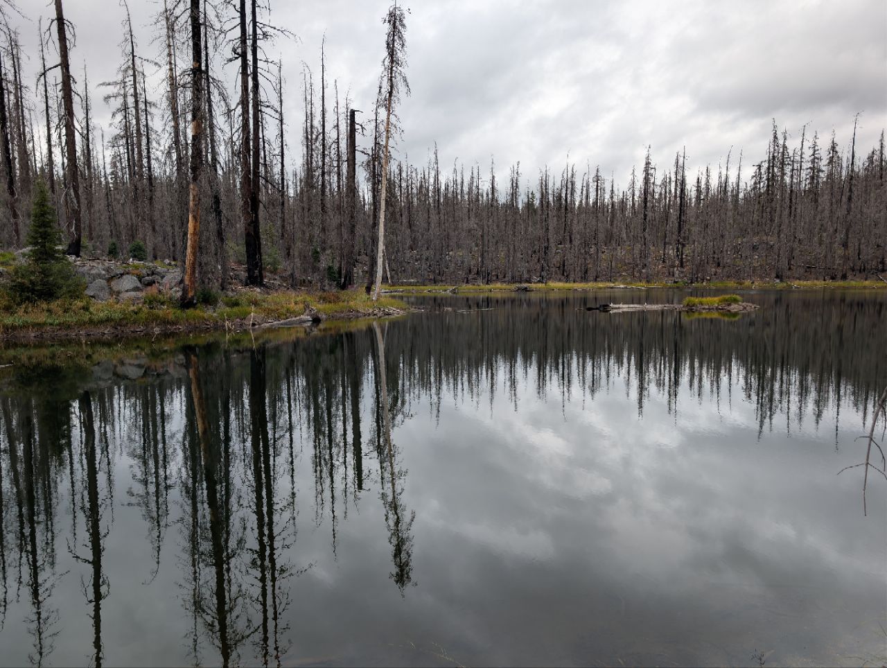 PCT – Day 139