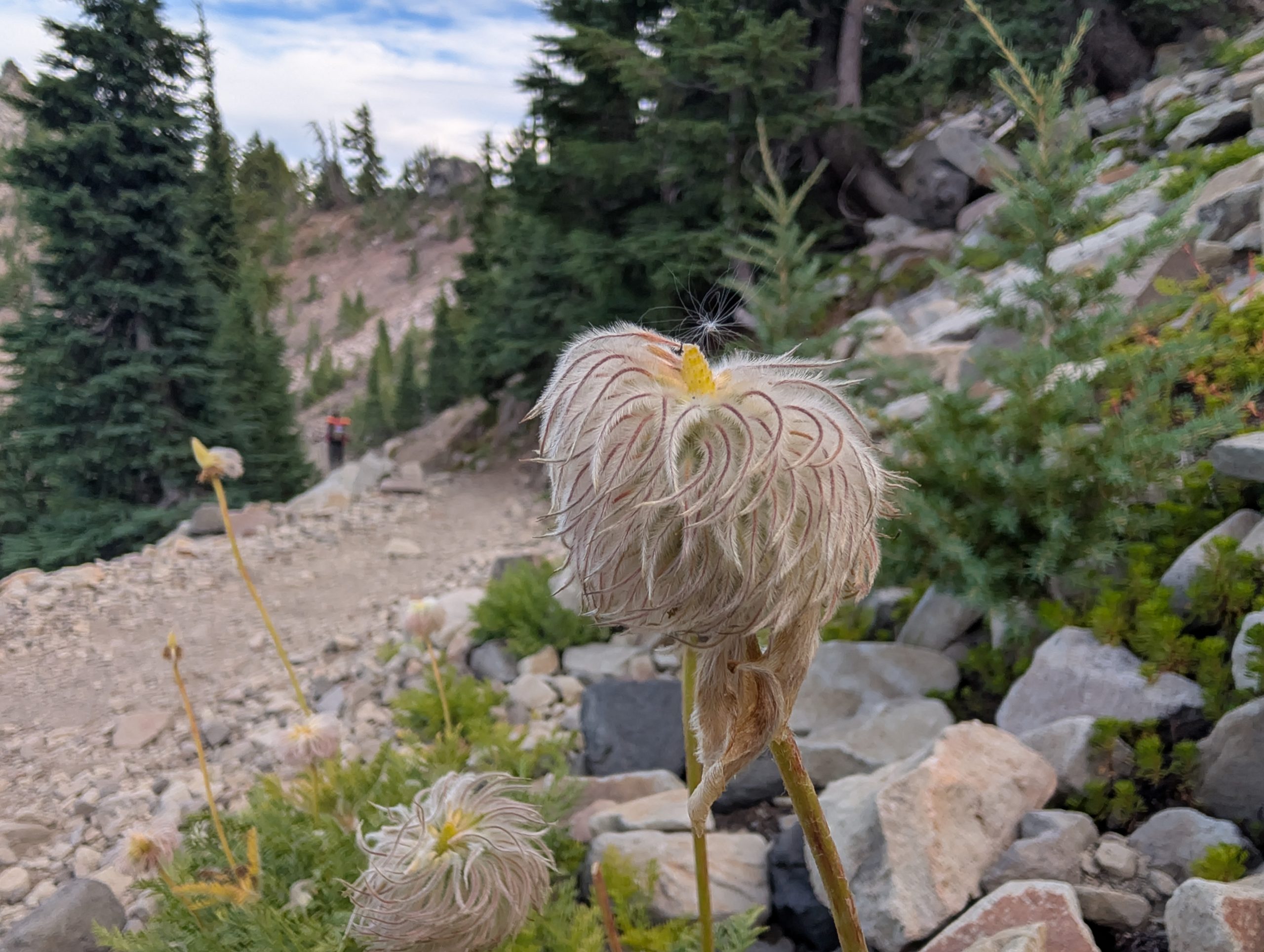PCT -Day 132